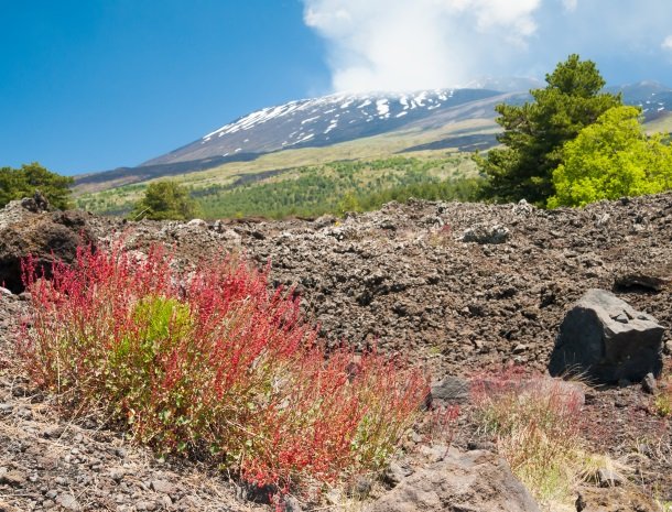 etna.jpg