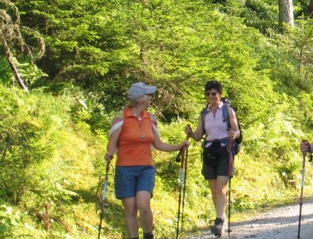 das-waldheim-salzburgerland-wandelen-petra.jpg