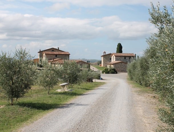 agriturismo-san-lorenzo-rapolano-toegangsweg.jpg