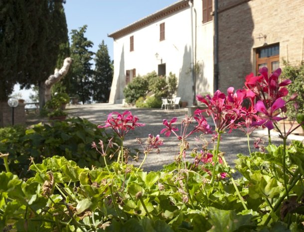 agriturismo-pieve-sprenna-bloemen.jpg