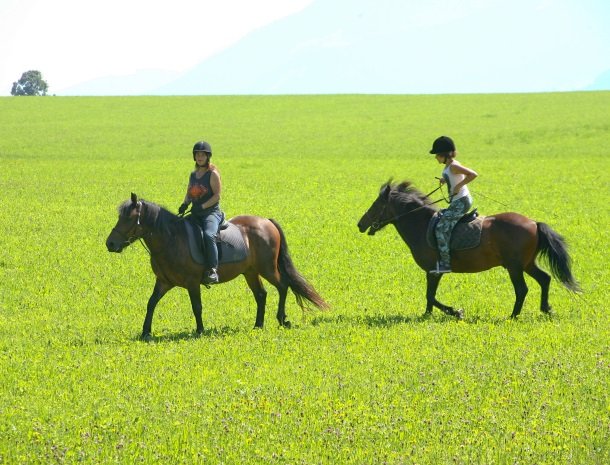 baerenwirt-aich-steiermark-paardrijden.jpg