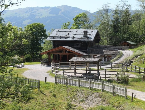 hotel-eggerhof-saalbach-almhut-overzicht.jpg