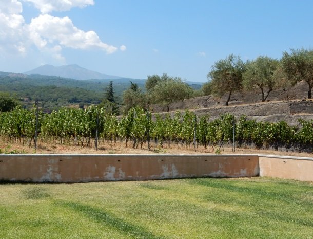 tenuta-scilio-agriturismo-wijngaarden-etna.jpg