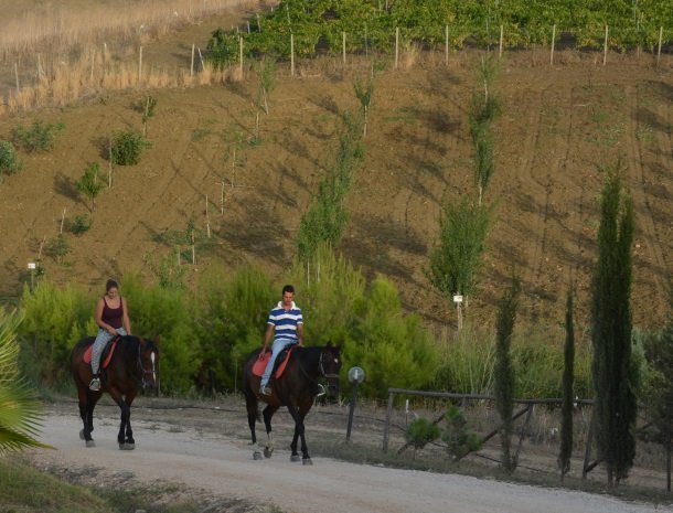 agriturismo-arcudaci-sicilie-paardrijden.jpg