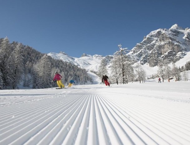 adler hotel-pension-fulpmes-stubaital-winter-skien.jpg