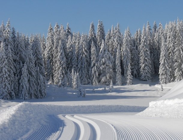 weissensee-karinthie-oostenrijk-winterlandschap.jpg