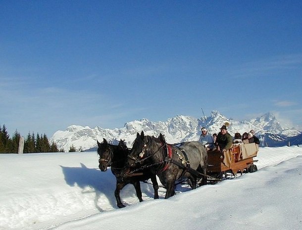 hotel das waldheim-salzburgerland-winter-arreslee.jpg