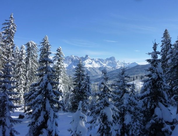 hotel das waldheim-salzburgerland-winter-uitzicht.jpg