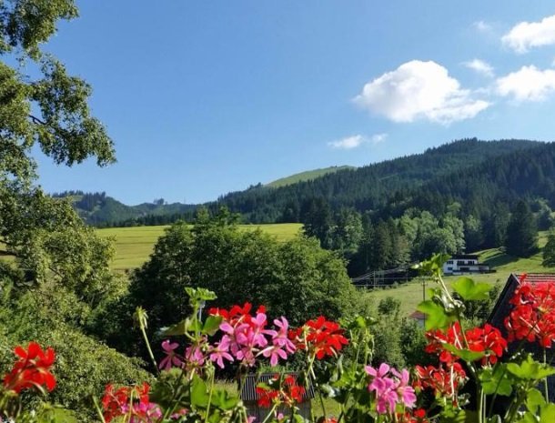 haus-tannhof-jungholz-tirol-omgeving-uitzicht.jpg