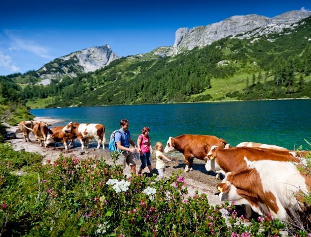 omgeving-bad-mitterndorf-steiermark.jpg