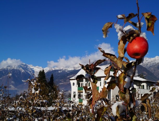 hotel-pension-verdorfer-merano-winter-appel.jpg