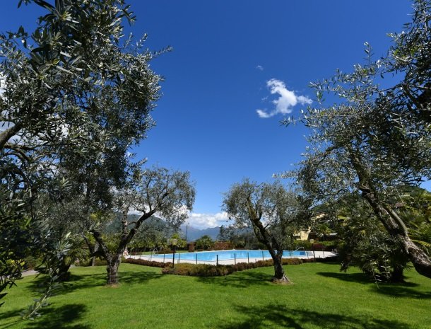 hotel-ulivi-iseomeer-tuin-olijfbomen-zwembad.jpg