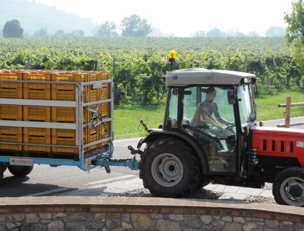 villa-gradoni-franciacorta-wijngaarden-tractor.jpg
