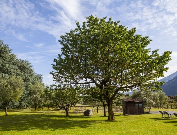 agriturismo-ca-del-lago-comomeer-tuin-boom.jpg