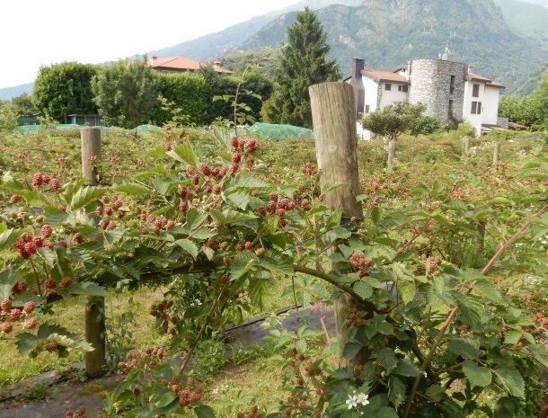 agriturismo-ca-del-lago-comomeer-lombardije-bramen.jpg