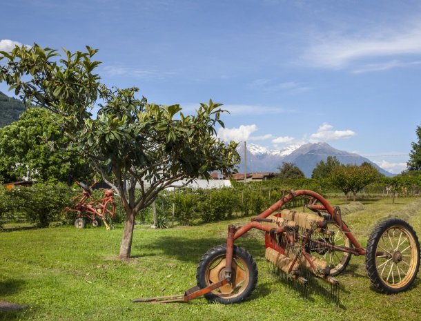 agriturismo-ca-del-lago-comomeer-lombardije-tractor.jpg