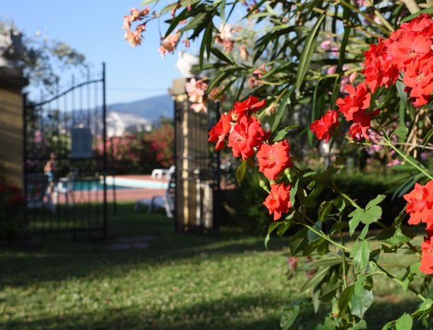 podere-san-giusto-toscane-agriturismo-bloemen.jpg