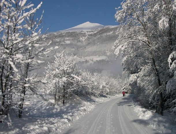 stofflerwirt-stmichaelimlungau-winterlandschap.jpg