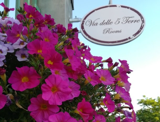 viadelle5terre-la-spezia-ligurie-bloemen.jpg