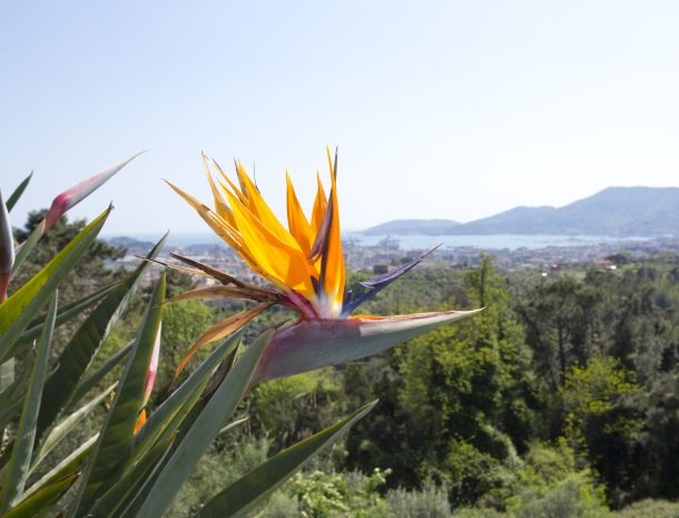 villa-amaranta-la-spezia-ligging-planten.jpg