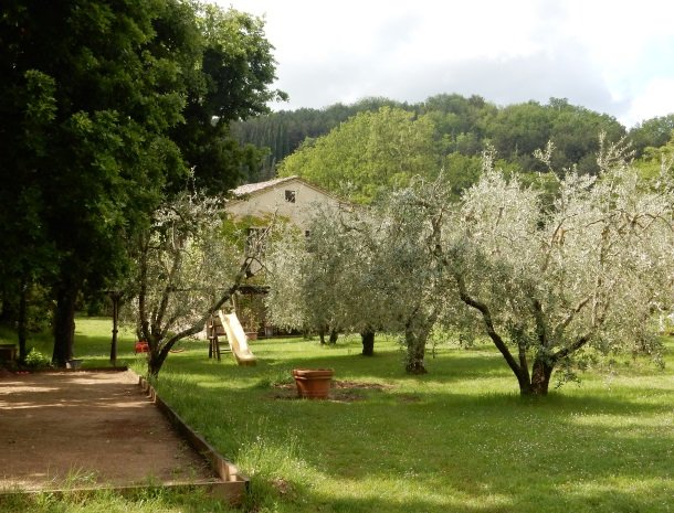 agriturismo-nobile-montepulciano-speeltuin-olijfbomen.jpg