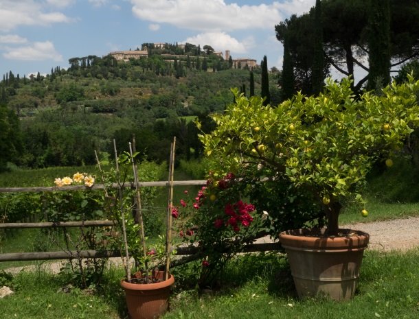 agriturismo-nobile-montepulciano-bloemen-uitzicht.jpg