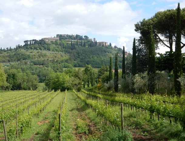 agriturismo-nobile-montepulciano-wijngaarden.jpg