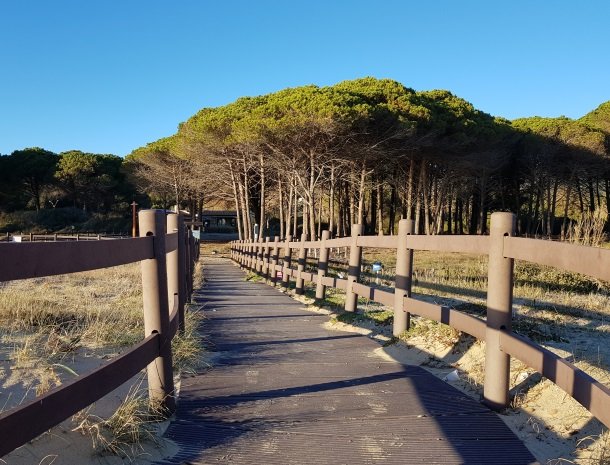 lacona-strand-pijnbomen.jpg