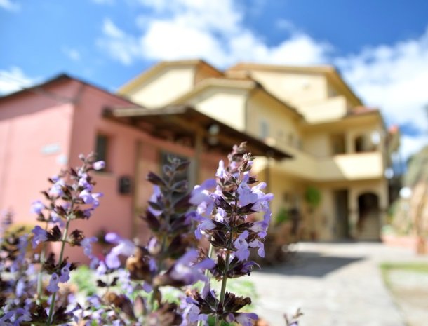 residence-minihotel-lacona-appartementen-bloemen.jpg