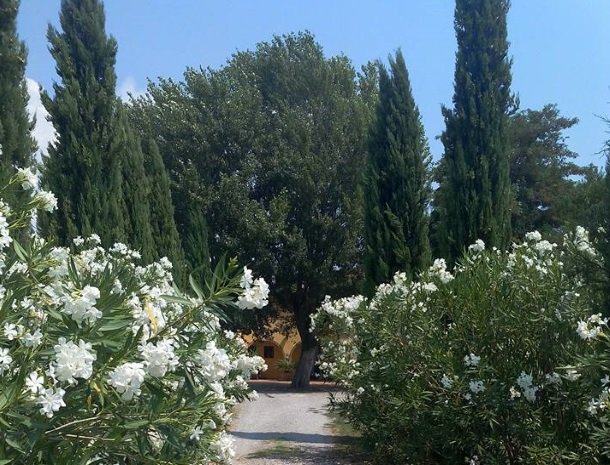 agrisantanna-appartementen-toscane-oprijlaan.jpg