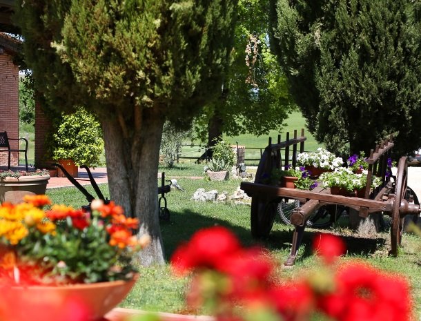 agriturismo-podere-santa-croce-toscane-bloemen-tuin.jpg