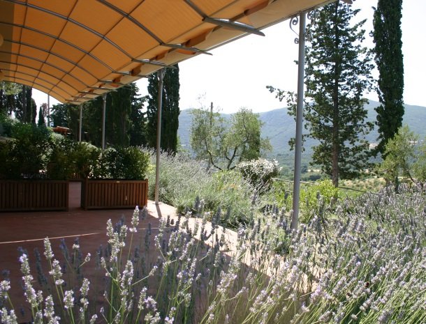 agriturismo-il-ghiaccio-suvereto-suite-lavendel.jpg