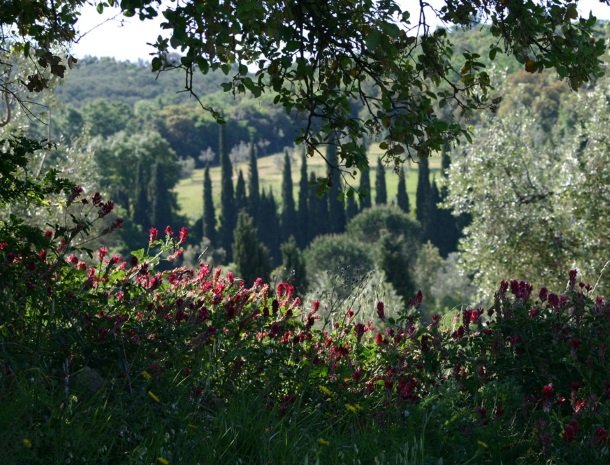 agriturismo-il-ghiaccio-suvereto-natuur.jpg