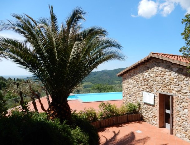 agriturismo-il-ghiaccio-suvereto-zwembad-palmboom.jpg