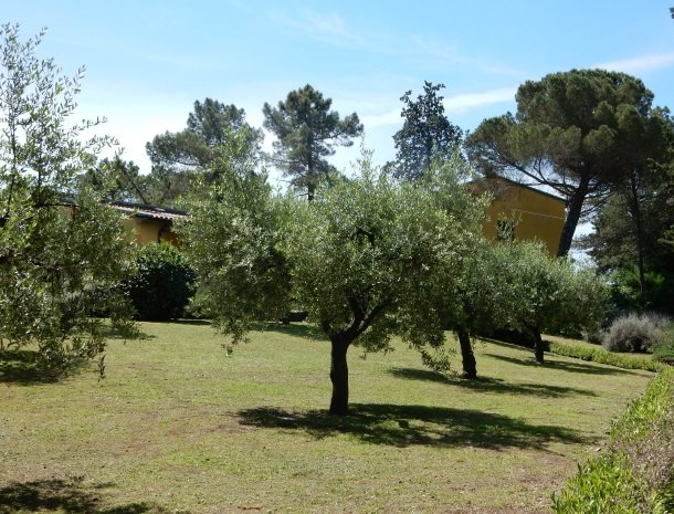 agriturismo-il-ghiaccio-suvereto-suite-tuin.jpg