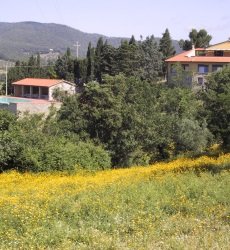 agriturismo-il-ghiaccio-suvereto-toscane.jpg