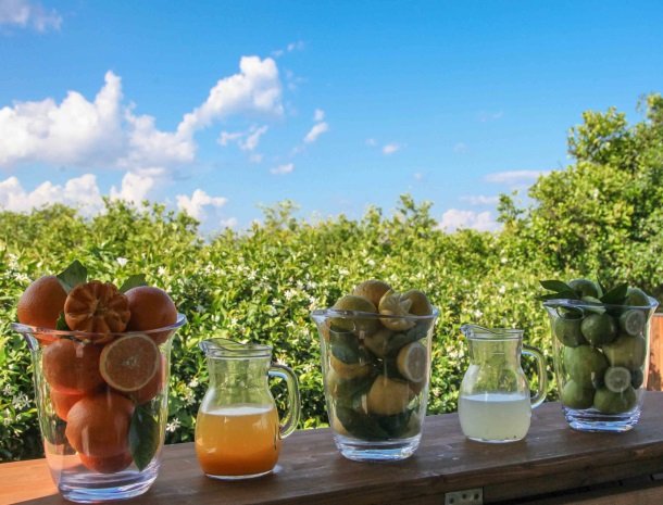 agriturismo-galea-riposto-sicilie-kiosk-fruit-drankje.jpg