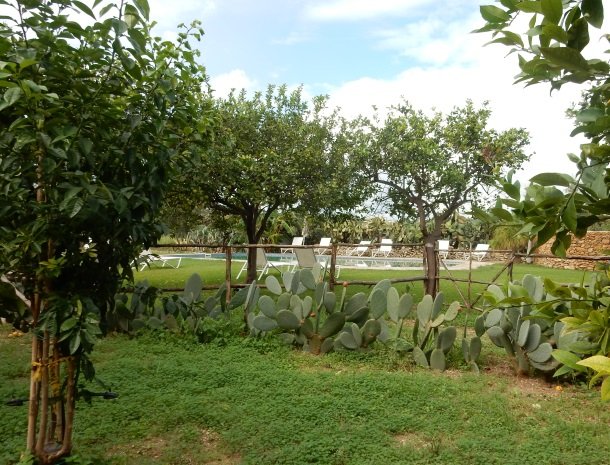 baglio-siciliamo-noto-sicilie-tuin-zwembad.jpg