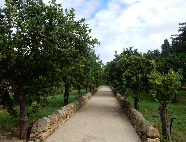 baglio-siciliamo-noto-sicilie-toegang-fruitbomen.jpg