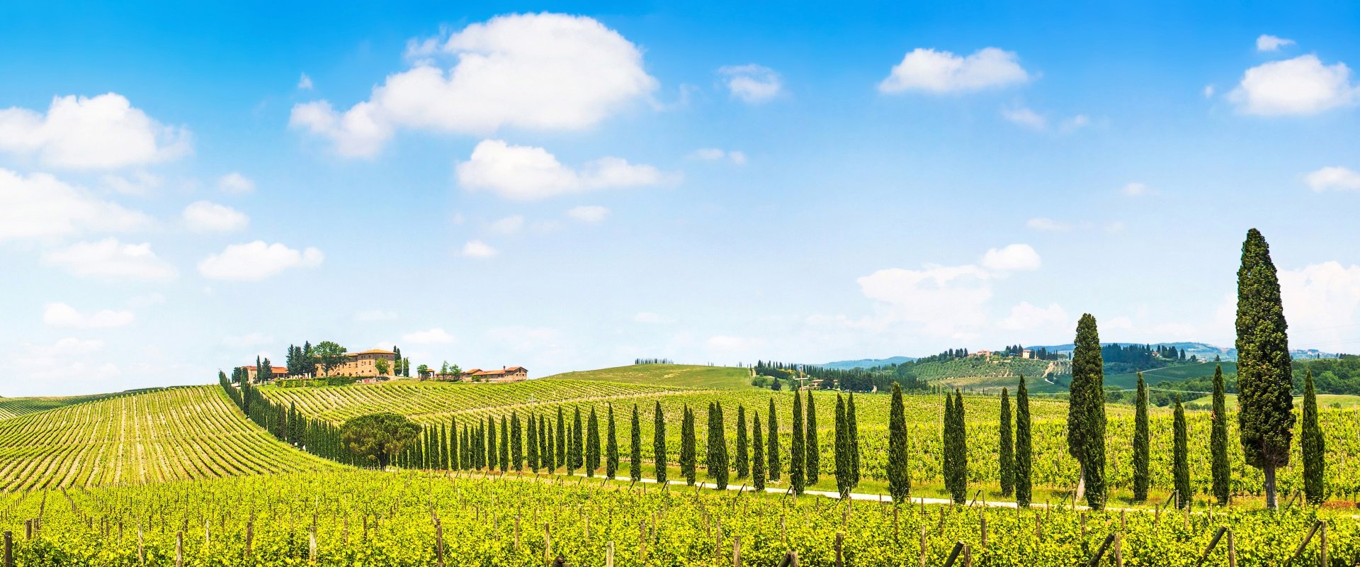 chianti-gebied-toscane-rondreis.jpg