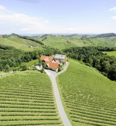 weingut-dreisiebner-steiermark.jpg