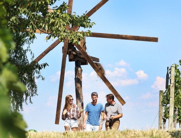 weingut-dreisiebner-steiermark-klapotetz.jpg