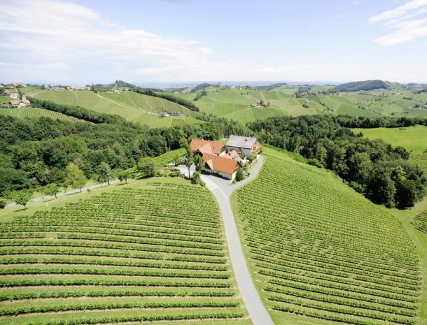 weingut-dreisiebner-steiermark-overzicht.jpg