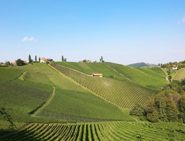 weingut-dreisiebner-steiermark-wijnlandschap.jpg