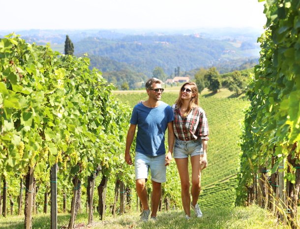 weingut-dreisiebner-steiermark-wandelen.jpg