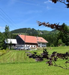 am-hof-jungholz-tirol-oostenrijk.jpg