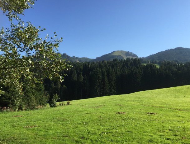 am-hof-jungholz-oostenrijk-omliggende-natuur.jpg