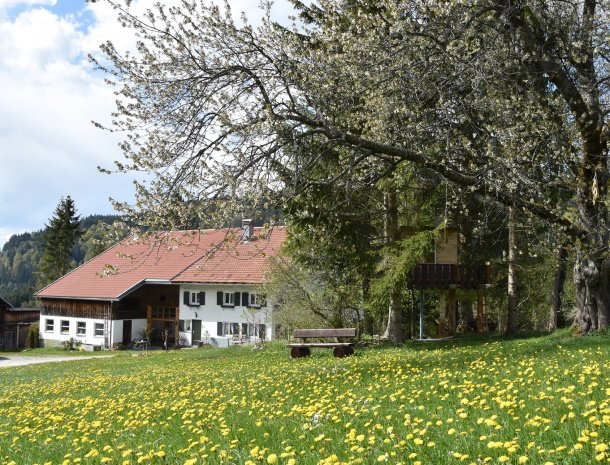 am-hof-jungholz-oostenrijk-ligging-natuur.jpg
