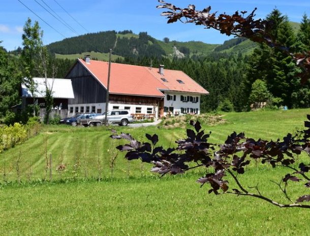 am-hof-boerderij-oostenrijk.jpg