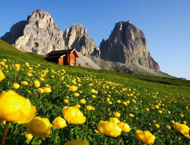 hotel-carpe-diem-vigo-di-fassa-dolomieten.jpg